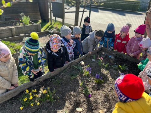 Sluníčka - Zaseli jsme jarní osení a malovali velikonoční vajíčka